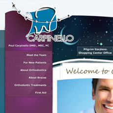 web project