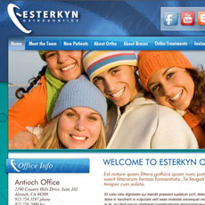 web project