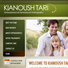 web project