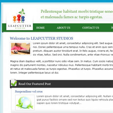 web project