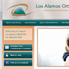 web project