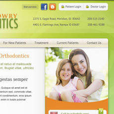 web project
