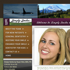 web project