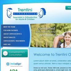 web project