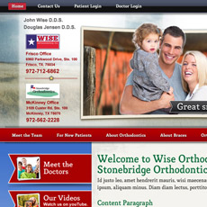 web project