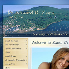 web project